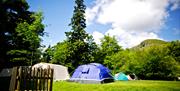 Campsite at Rydal Hall in Rydal, Lake District
