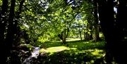 Nature and Scenery at Campsite at Rydal Hall in Rydal, Lake District
