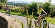 Guided Family Bike Skills with Saddle Skedaddle in the Lake District, Cumbria