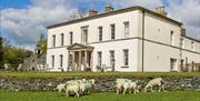 Exterior & Grounds with Sheep Outside Shaw End Mansion near Kendal, Cumbria