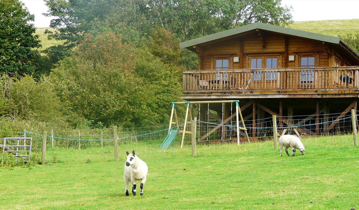 Springbank Farm Lodges