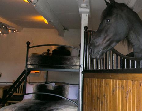 Friesian Horse and Bunkbed at Stable Stays at Greenbank Farm in Grange-over-Sands, Cumbria