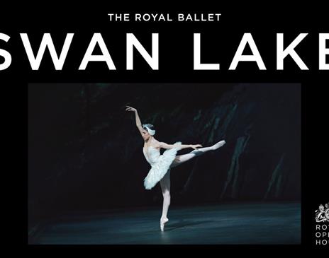 Poster for Royal Opera House: Swan Lake, Screening at Rosehill Theatre in Whitehaven, Cumbria