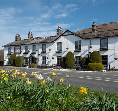 Exterior View of The Swan at Grasmere with Daffodils in the Foreground, Located in Grasmere, Lake District