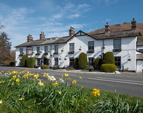 Exterior View of The Swan at Grasmere with Daffodils in the Foreground, Located in Grasmere, Lake District