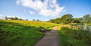 Path at Talkin Tarn Country Park in Brampton, Cumbria