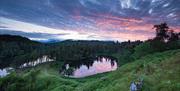 View of Tarn Hows at Sunset in the Lake District, Cumbria
