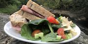 Sandwiches and Salad at The Tea Room at Farfield Mill in Sedbergh, Cumbria