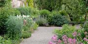 Grounds and gardens at Acorn Bank in Temple Sowerby, Cumbria © National Trust