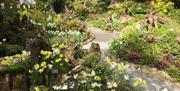 Grounds and gardens at Sizergh Castle, Lake District - National Trust