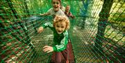 Children Playing at Treetop Nets in Windermere, Lake District