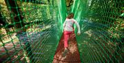 Child Playing at Treetop Nets in Windermere, Lake District