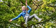 Child at Treetop Trek in Windermere, Lake District