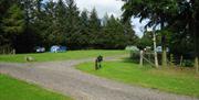 Tents and Touring Pitches at Ullswater Holiday Park in the Lake District, Cumbria