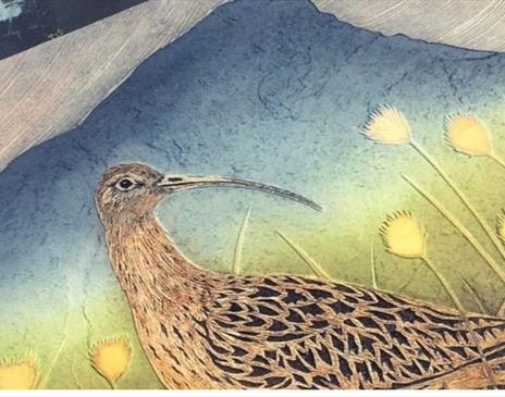 Exploring Collagraph Printmaking with Hester Cox