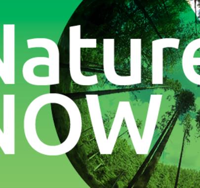 Curating Climate: Naure Now at Grizedale Forest & Visitor Centre in the Lake District, Cumbria