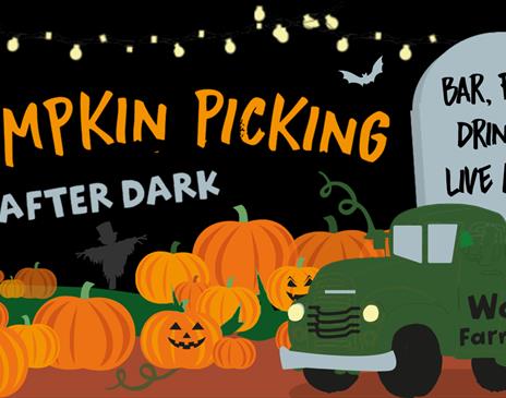 Poster for Pumpkin Picking After Dark at Walby Farm Park near Carlisle, Cumbria