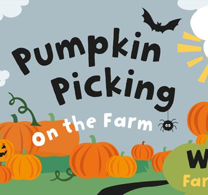 Poster for Pumpkin Picking 2023 at Walby Farm Park near Carlisle, Cumbria