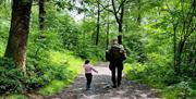 Explore the Woods with Your Family with Green Man Survival