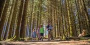 Family Walking at Whinlatter Forest in the Lake District, Cumbria