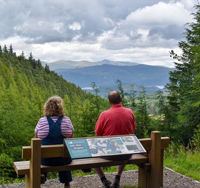 Couple Sitting on a Bench on the Wow Trail at Whinlatter Forest in the Lake District, Cumbria