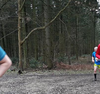 Runners at Wild Deer Whinlatter Half Marathon at Whinlatter Forest in the Lake District, Cumbria