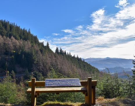 Photo from the Whinlatter Wow Trail for an Exclusive Preview and Afternoon Tea Event in Whinlatter Forest, Lake District
