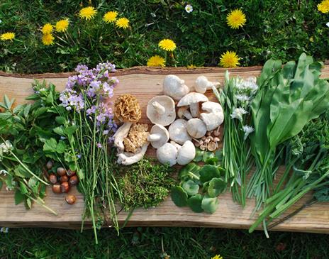 Wild Food Foraged with Foraging with Wild Food UK in Armathwaite, Cumbria