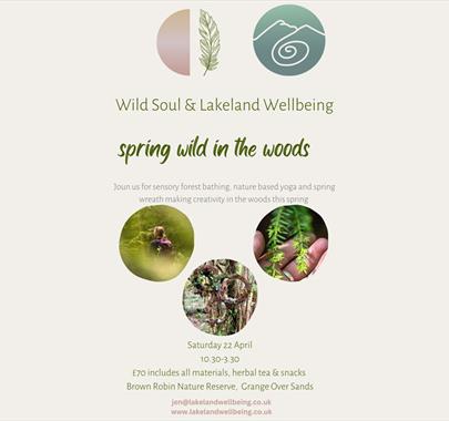 Spring Wild in the Woods with Lakeland Wellbeing in Grange-over-Sands, Cumbria