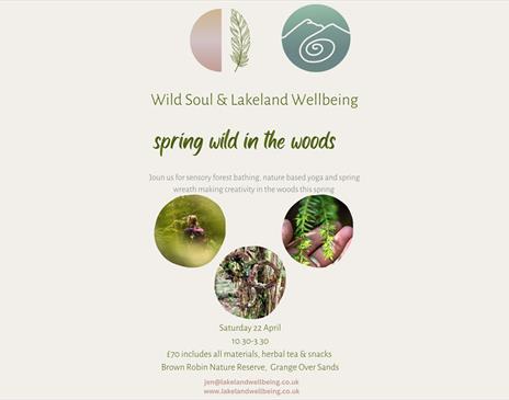 Spring Wild in the Woods with Lakeland Wellbeing in Grange-over-Sands, Cumbria