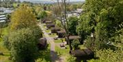 Bird's eye view of the glamping field at Woodclose Park, Kirkby Lonsdale, Cumbria.