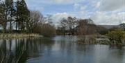 Wych Elm Bungalow - the lake in early spring