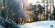 Wintertime Grounds at Abbey House Hotel & Gardens in Barrow-in-Furness, Cumbria