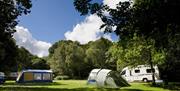 Tent Camping at Coniston Park Coppice Site in Coniston, Lake District