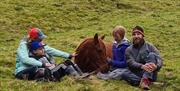 Meditate With Horses - Full Circle Experiences