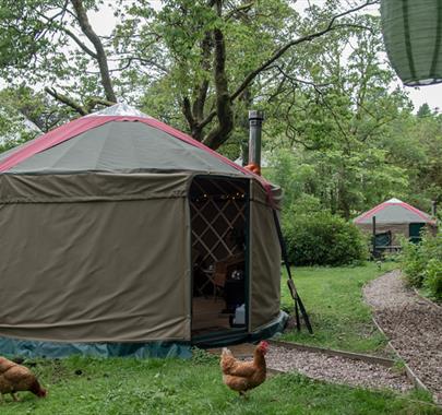 Glamping yurts at The Black Swan in Ravenstonedale, Cumbria