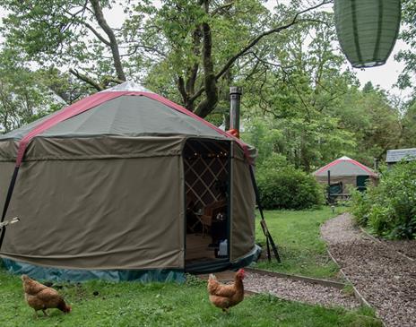 Glamping yurts at The Black Swan in Ravenstonedale, Cumbria