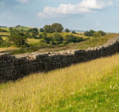 Hadrian's Wall Walking Holidays with Mickledore Walking Holidays in Cumbria