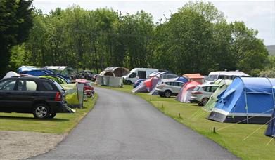 Camping pitches at Hillcroft Park Holiday Park in Pooley Bridge, Lake District