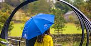 The Lake District Umbrella Company