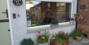 Outdoor Plants and Front Window at Midtown Farm Bed and Breakfast in Easton, Cumbria
