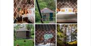 Glamping Yurts at The Black Swan in Ravenstonedale, Cumbria