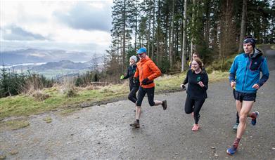 Running Trails at Whinlatter Forest, Lake District