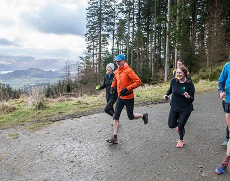 Running Trails at Whinlatter Forest, Lake District