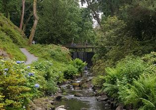 Thumbnail for Discover Conwy Valley