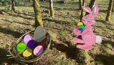 Golden Egg Hunt