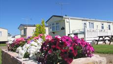 Cambria Caravan Park