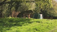 Wild Cherry Camping Ltd