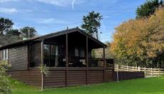 Y Caban 3 bed woodland lodge with hot tub