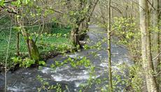 Loggerheads Country Park